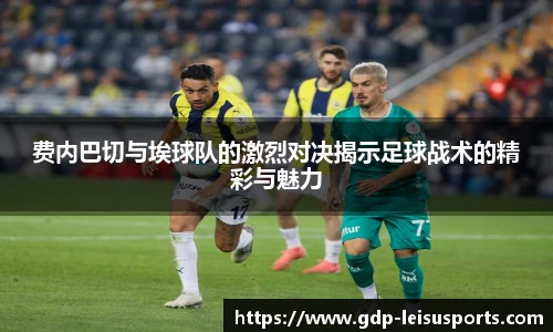 雷速体育