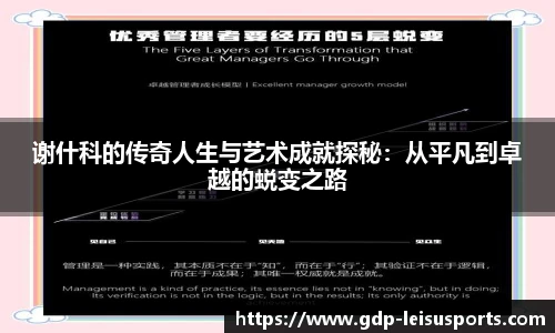 雷速比分官网
